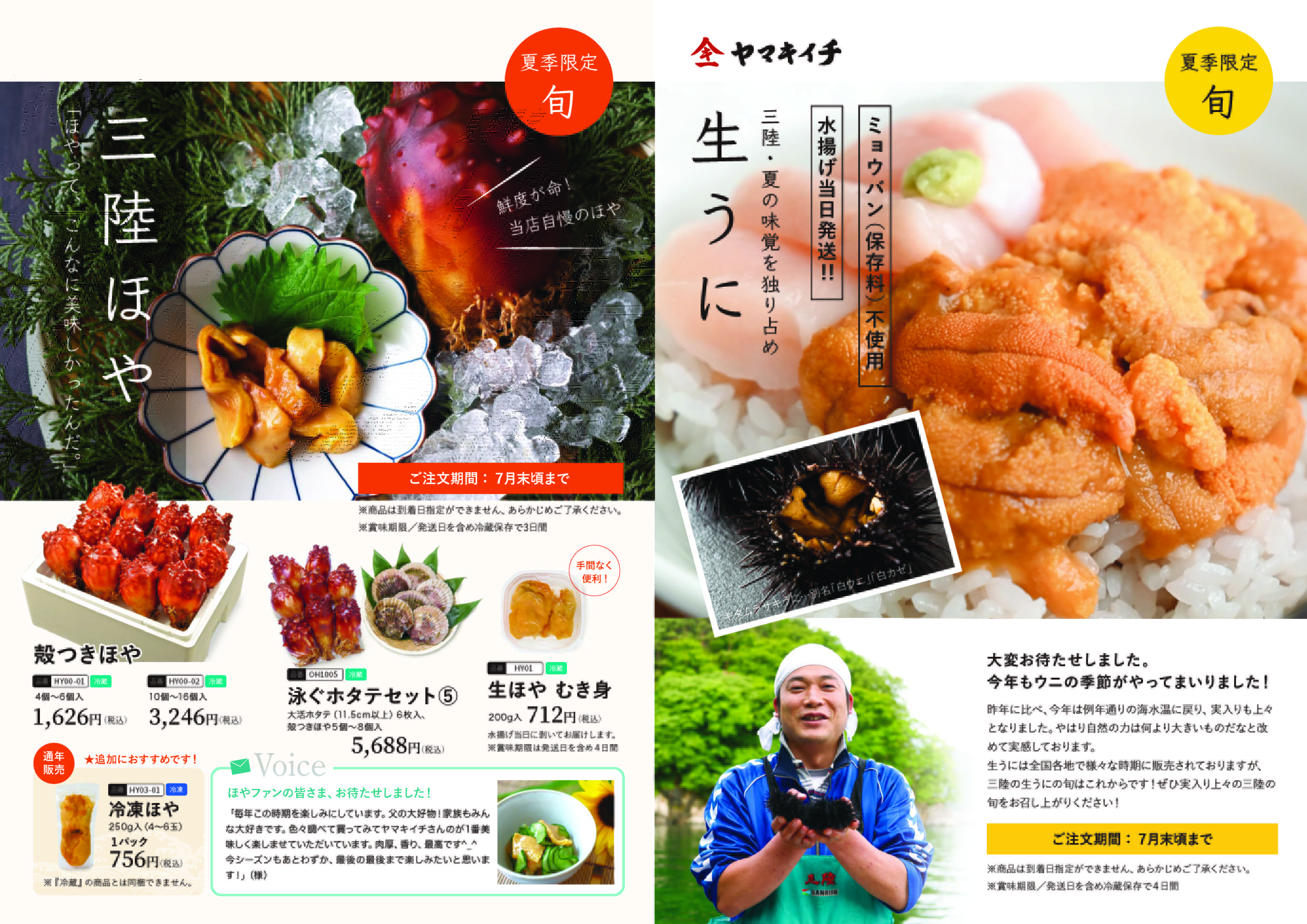 特集フライヤー