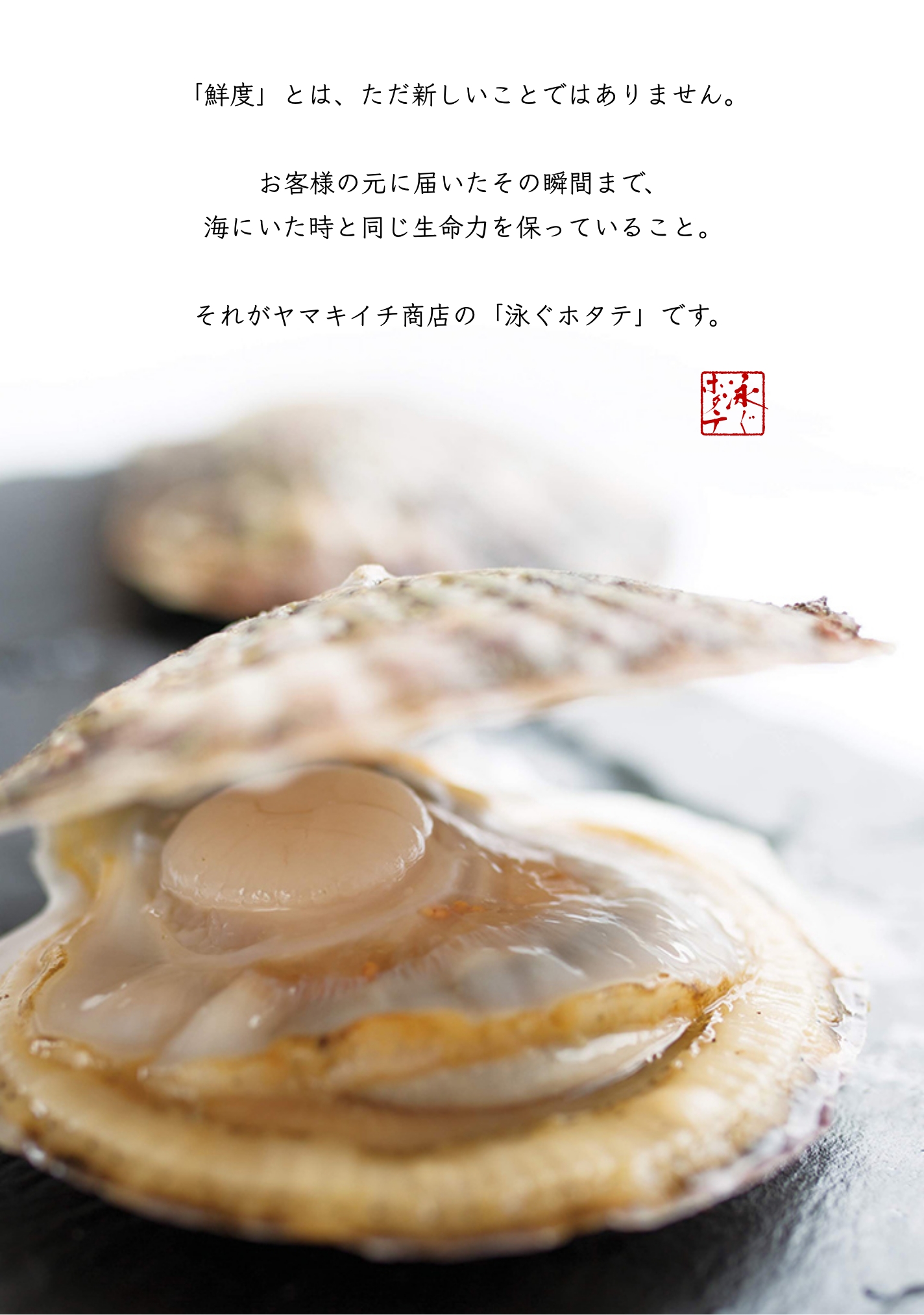 泳ぐホタテの生貝柱KV_PC