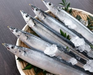 新物一番採り袋わかめ（塩蔵） | わかめ（塩蔵）｜【活ホタテ