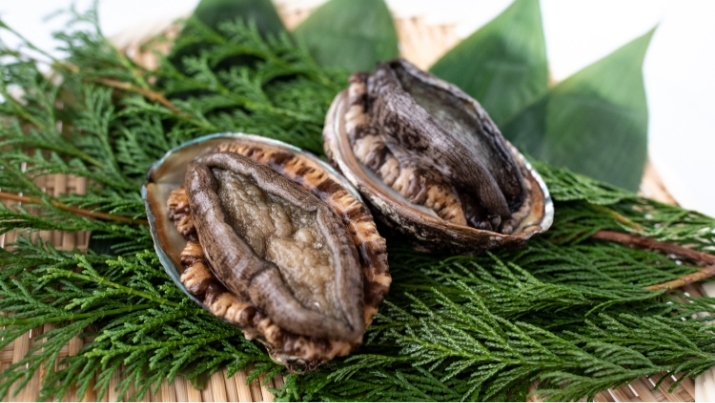 あわびイメージ