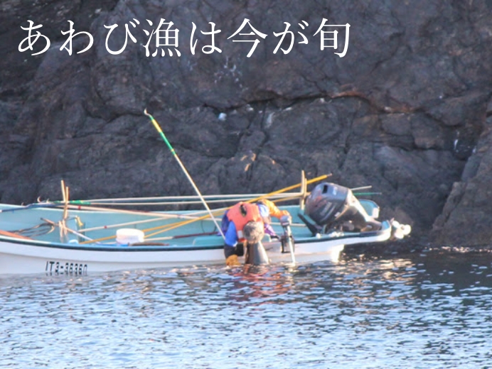 あわび漁は今が旬