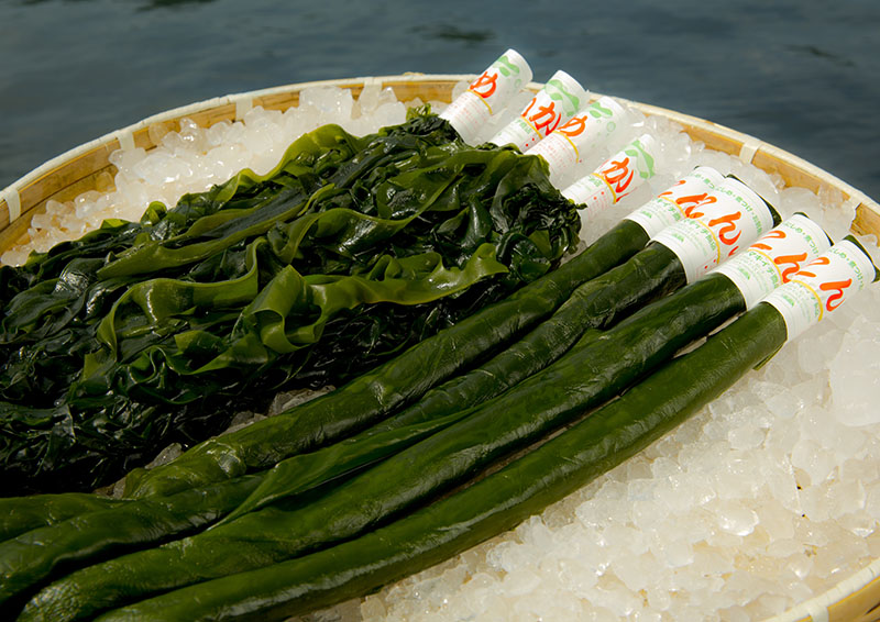 わかめ・昆布