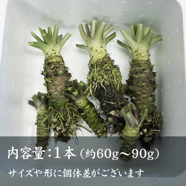 同梱限定】宮守特産 生わさび | 商品一覧｜【活ホタテ通販】泳ぐホタテ