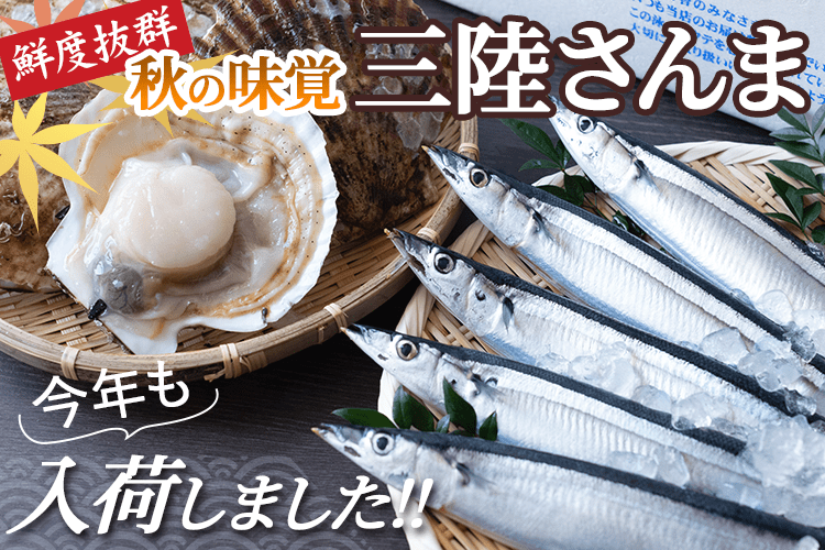 top_sanma_sp.png