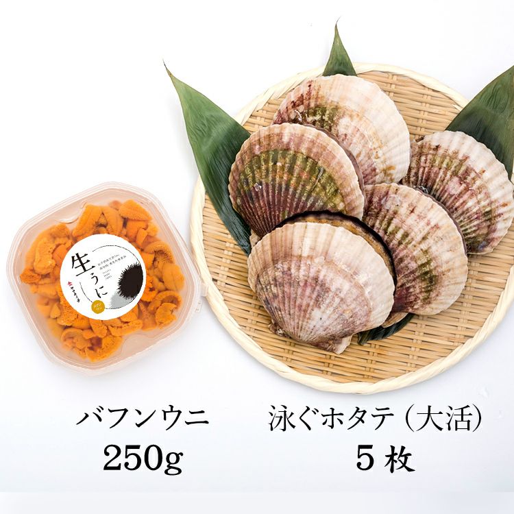 泳ぐホタテセット6 大活ホタテ5枚 生うに250g バフンウニ 期間限定 岩手三陸釜石の海産物通販ヤマキイチ商店