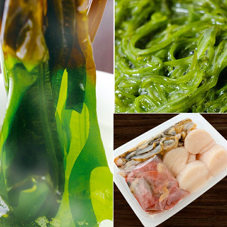 春の恵み3種セット3 生わかめ600g生めかぶ500g生貝柱4玉卵つき 生わかめ 生めかぶ 活ホタテ通販 泳ぐホタテのヤマキイチ商店